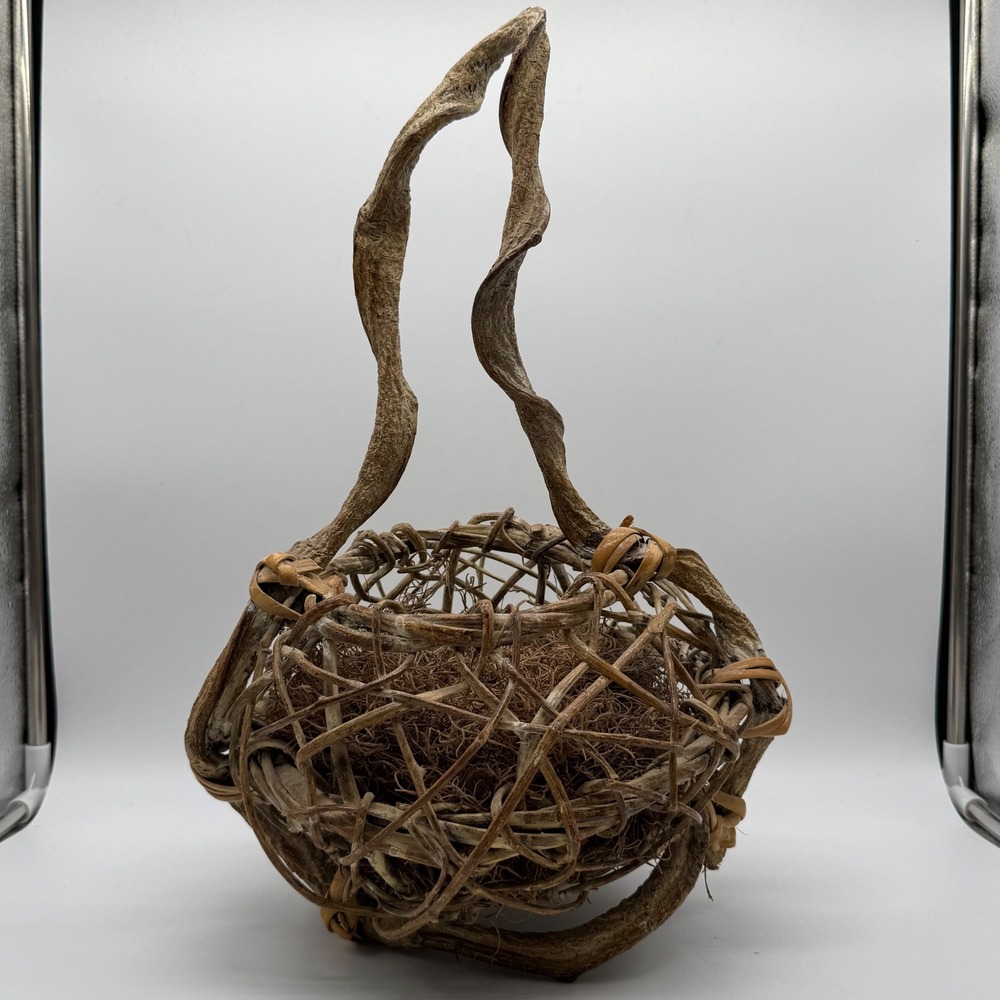 Vintage Hand Woven Grapevine Twig Birds Nest Basket Twisted Root Handle 16.5"